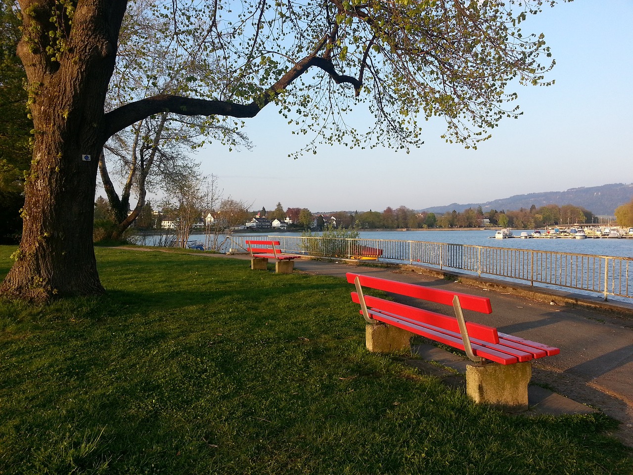 这一天注定 这一天注定