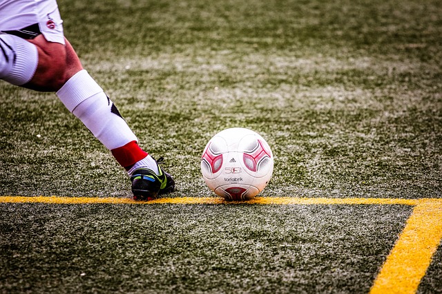 以其在意甲 以其在意甲