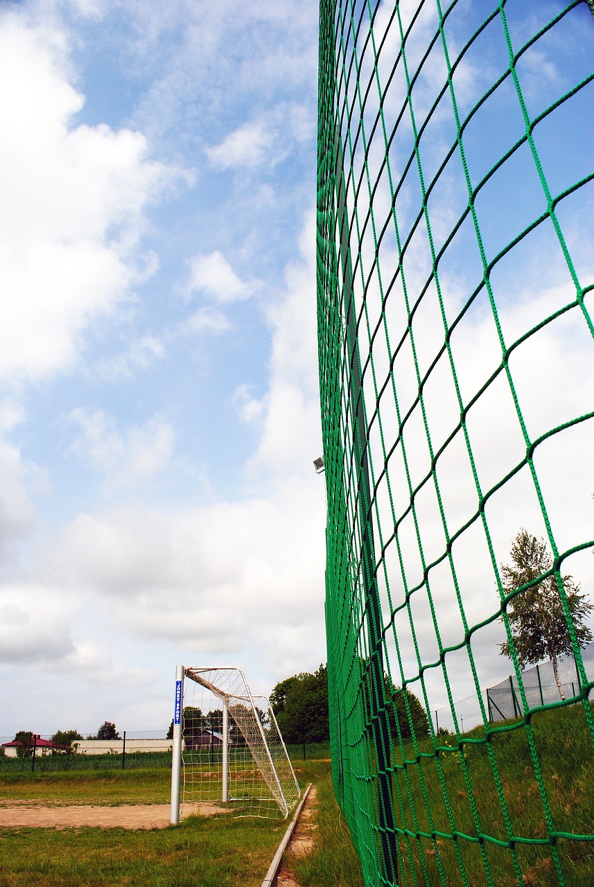 湖人巩固了 湖人巩固了