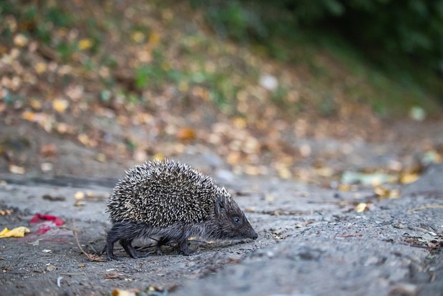 到了显著改 到了显著改