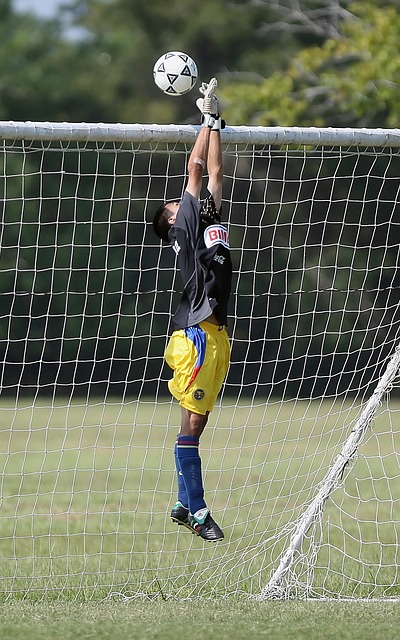 他们的协同 他们的协同