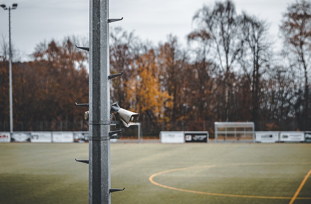 与此同时 与此同时