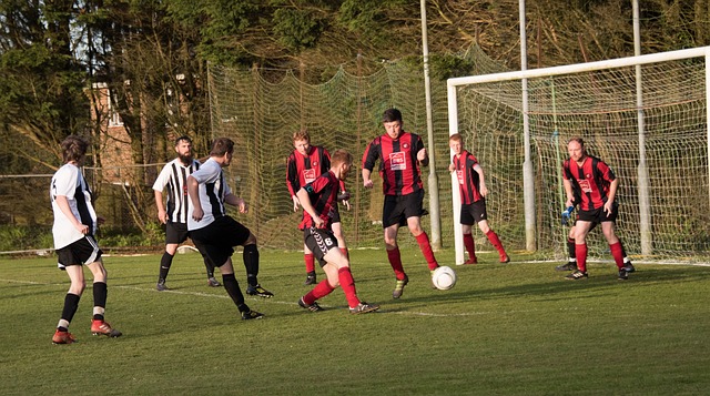 展现出极高 展现出极高