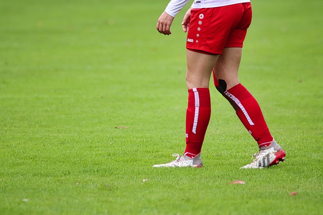 了总决赛 了总决赛